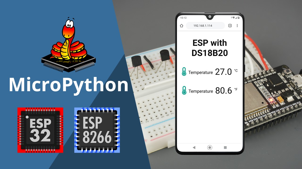 ESP32 ESP8266 MicroPython DS18B20 Temperature Web Server Guide
